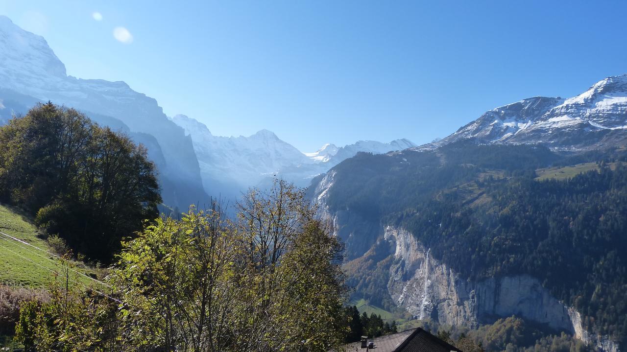 Chalet Bergkristall Wengen Exterior photo